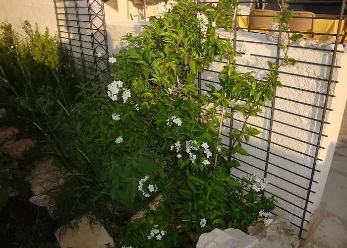 Silva סוטיבאן