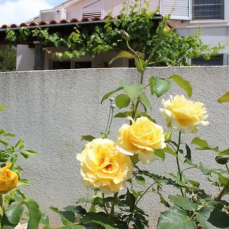 Apartment Silva Sutivan