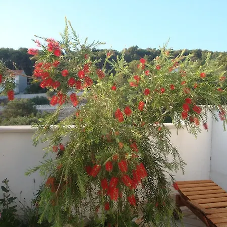 Διαμέρισμα Silva