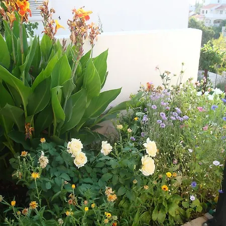 Διαμέρισμα Silva *